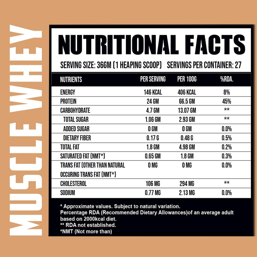 Ripped Up Nutrition Muscle Whey | 907g (2lbs) | Coconut Ice Cream | 24g Protein